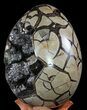 Huge, Septarian Dragon Egg Geode - Black Crystals #60364-3